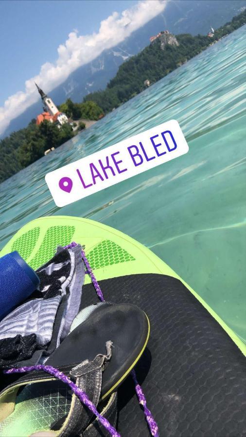 Maja Bled